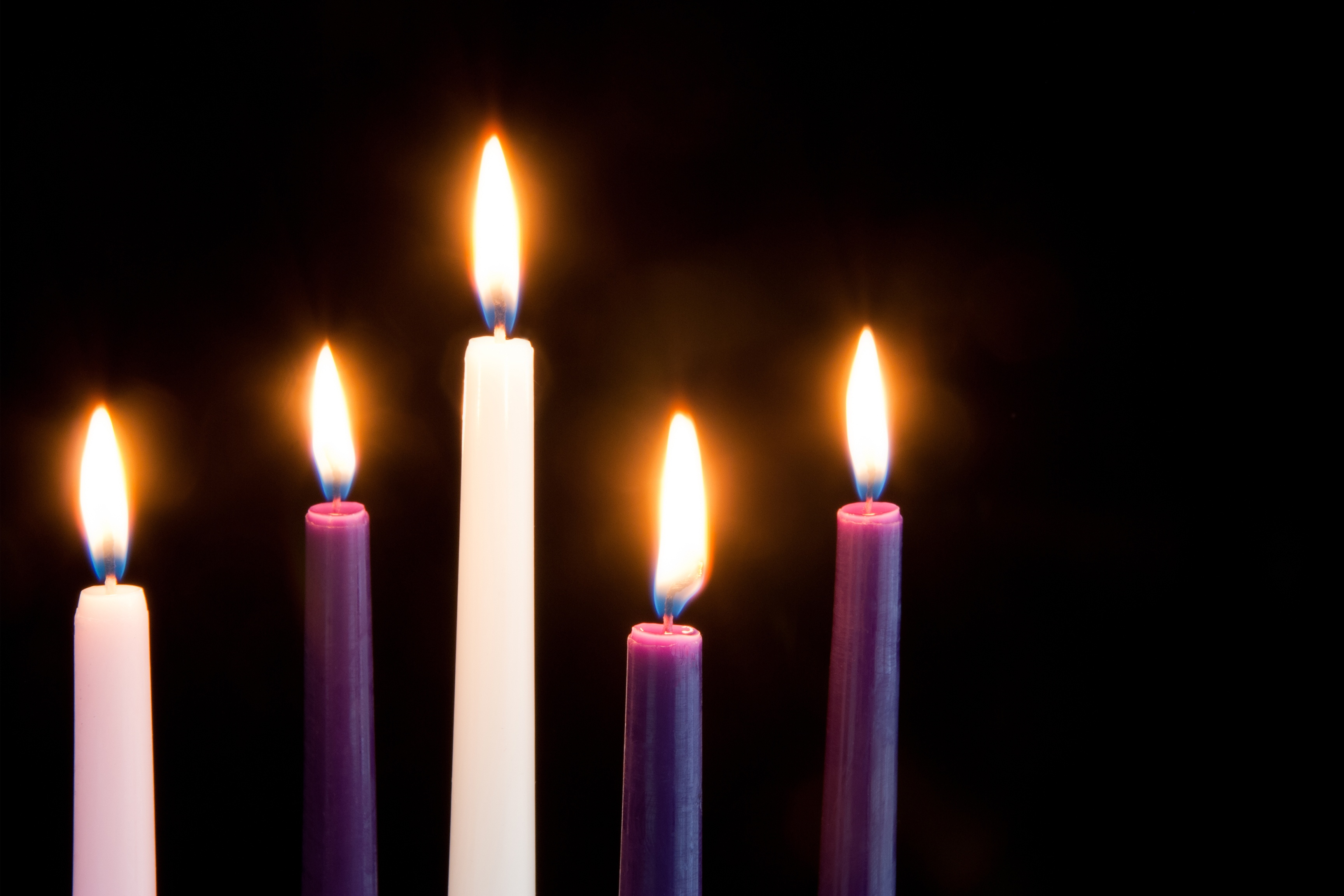 Celebrate these holy seasons!