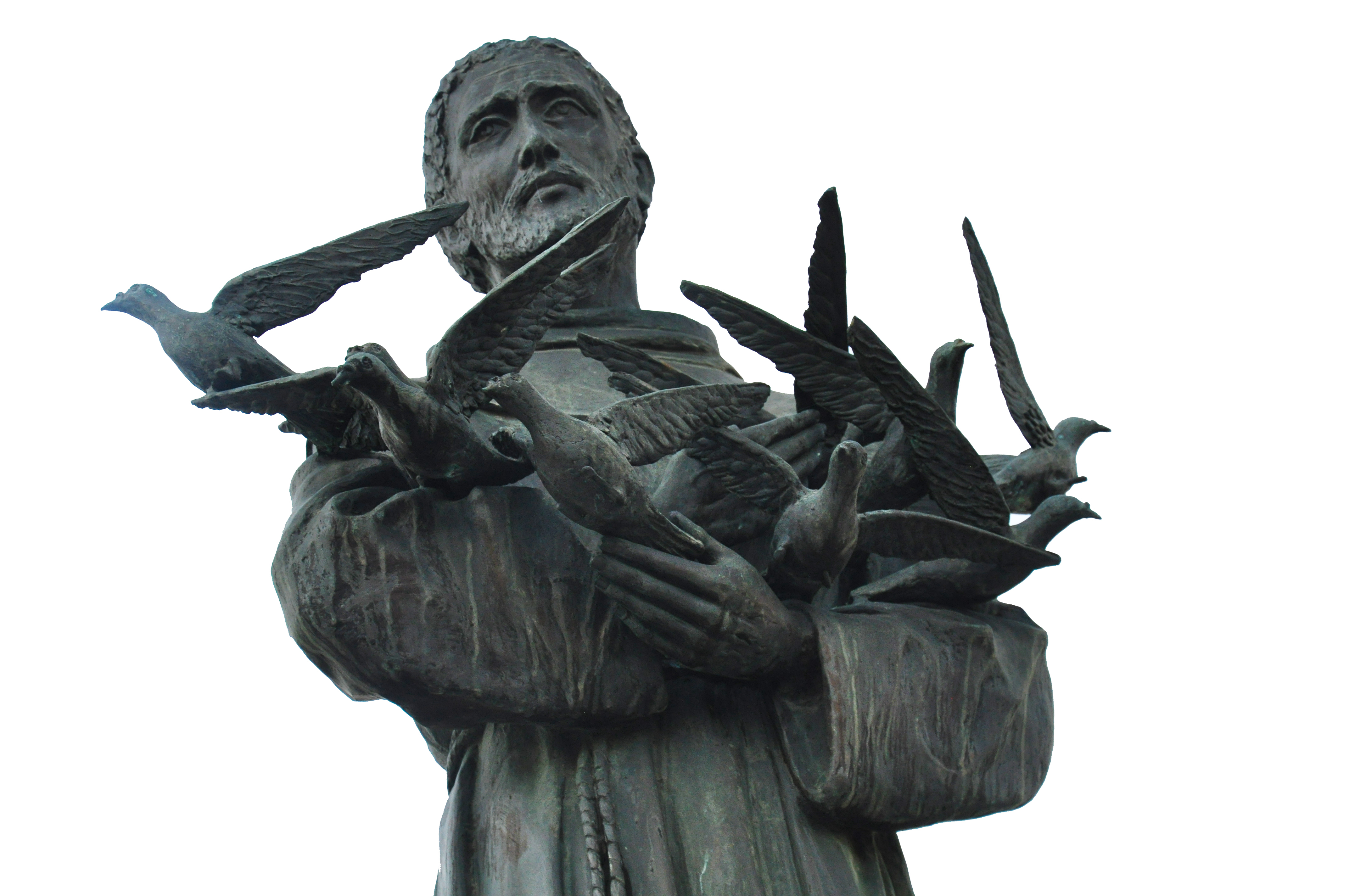 Celebrating St. Francis of Assisi